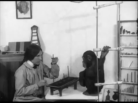 Видео: Опыты с шимпанзе, работы Надежды Николаевны Ладыгиной-Котс