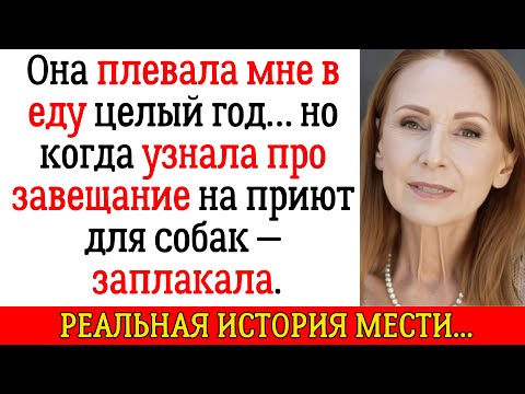 Видео: Внучка плевала в мою еду год — пока не узнала, что всё наследство достанется приюту для собак