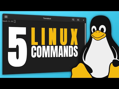 Видео: 5 команд Linux, которые должен знать каждый новичок