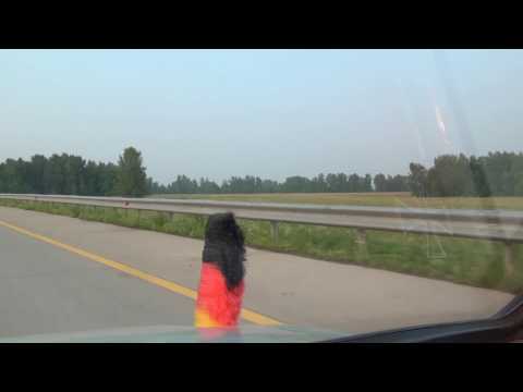 Видео: Zhanazhol Жанажол Chernoyarka Черноярка A1 Kazakhstan Казахстан 20.7.2016 #556