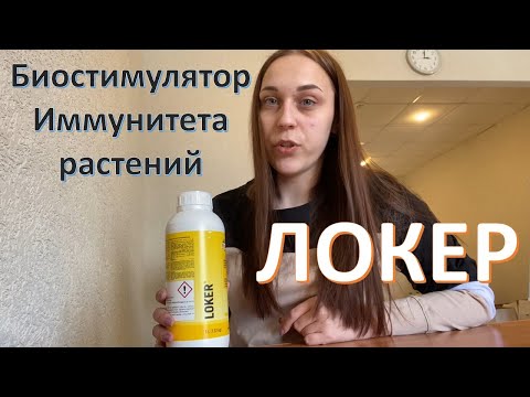 Видео: Локер (LOKER) - иммунопротектор для растений от компании Biolchim (Италия)