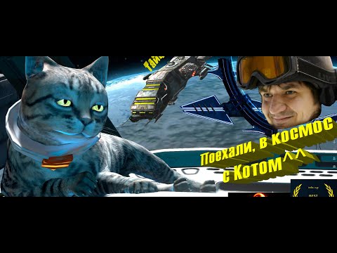 Видео: Возвращение блудного Кота....