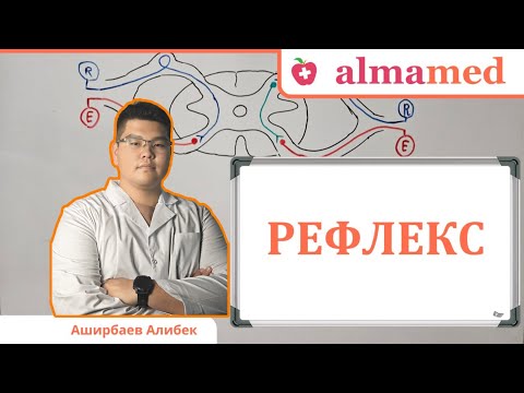 Видео: Рефлекс