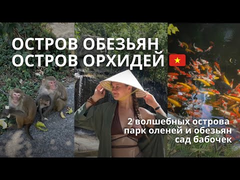 Видео: Остров обезьян и остров орхидей | Куда съездить в Нячанге? | Вьетнам 🇻🇳