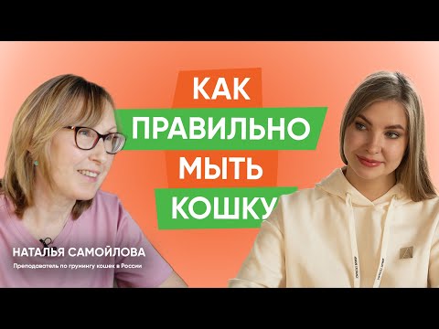 Видео: Мифы по уходу за шерстью кошки
