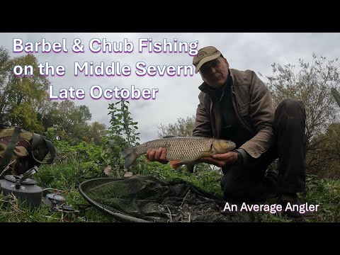 Видео: Ловля усача и голавля – конец октября на Среднем Северне