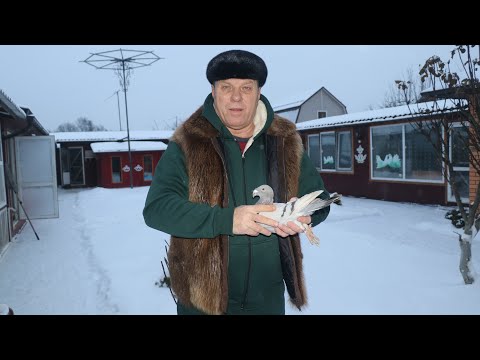 Видео: Русские и Немецкие Выставочные Московские Монахи Попова В.Ф.  и Моисеева И. Н.