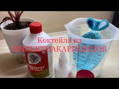 Видео: Коктейль от Вредителей 😃👍