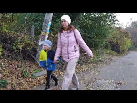 Видео: Розочки на месте