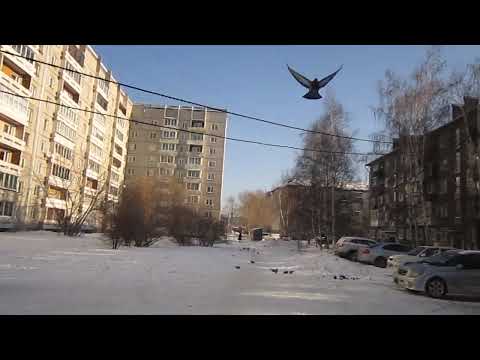 Видео: Иркутск Автостанция Ново-Ленино Автостанция 2