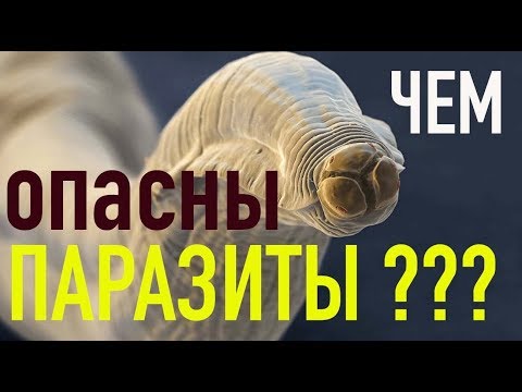 Видео: ПАРАЗИТЫ - ОПАСНОСТЬ ЗАРАЖЕНИЯ И СИМПТОМЫ ПРИСУТСТВИЯ !