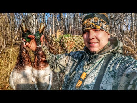 Видео: 20-й калибр на охоте/Охота на утку с 20-м калибром