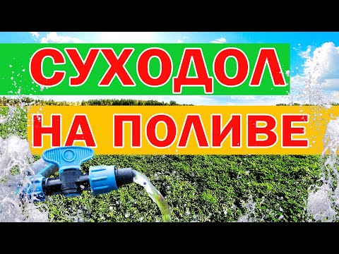 Видео: Суходол на поливе 💦💦💦 14 07 21