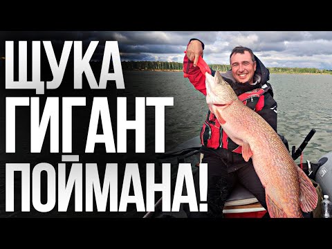 Видео: ПОЙМАНА САМАЯ КРУПНАЯ ЩУКА 2024 ГОДА I ЩУКА-МОНСТР НА КАМЕРУ