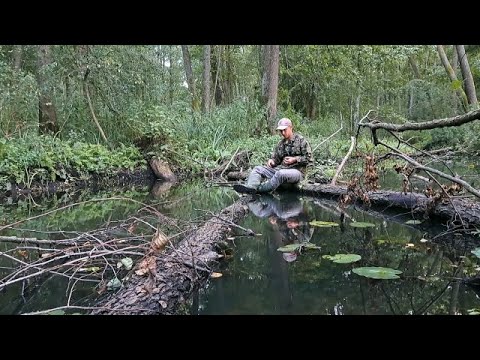 Видео: Рибалка з дерева на зимову вудку ловля окуня