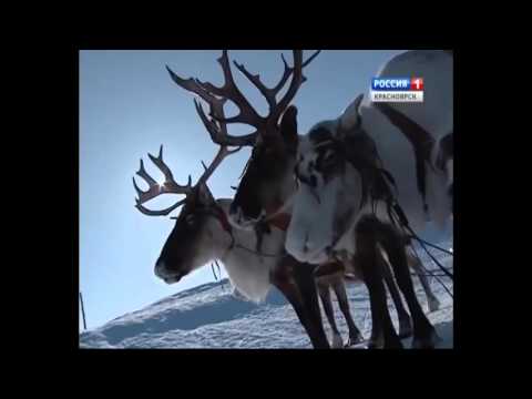 Видео: "На коротких волнах" про радиолюбителей - Фильм 2015 (Красноярск)