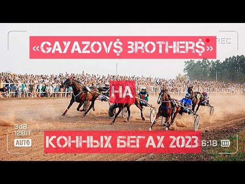 Видео: "GAYAZOV$ BROTHER$" на Кубке Чувашии по конному спорту 2023!)))