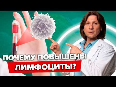 Видео: Почему повышены ЛИМФОЦИТЫ в анализе КРОВИ? В чем ПРИЧИНА?