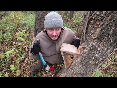 Видео: ПИЩУШНИК - домик для Пищухи. Как сделать, куда повесить?