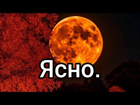 Видео: 🌕Ясно🔮#прорицание#руны#таро#оракул