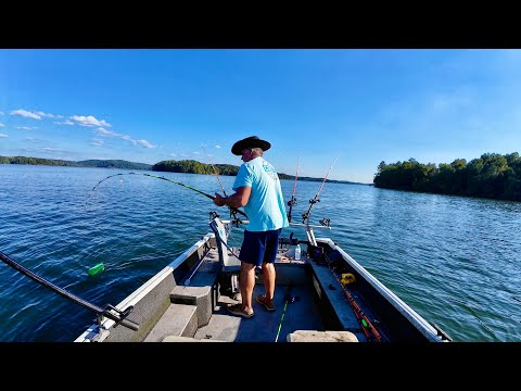 Видео: Лучшее озеро для ловли сома в Теннесси