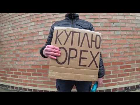 Видео: Сколько можно заработать покупая грецкий орех?