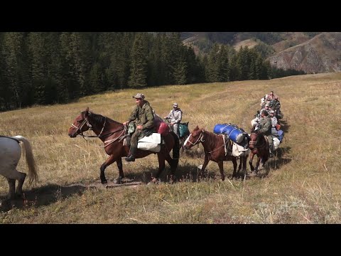 Видео: Охотничьи приключения - 2-7 (Алтай) / Vorsordakan Arkacner - 2-7 (Altai)