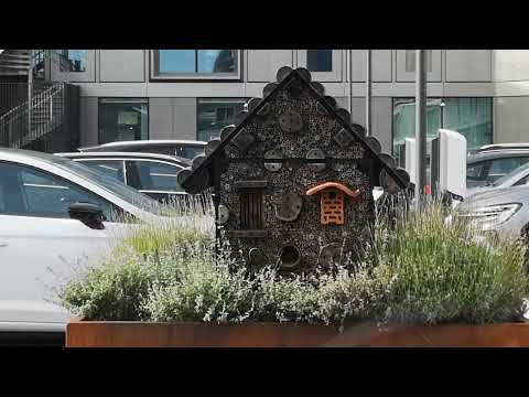 Видео: Мы в ГОЛЛАНДИИ, НАШ маленький ОТПУСК, октябрь 2023. 4 часть