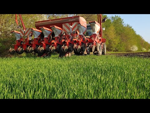 Видео: Посев самодельного  подсолнуха Орель. New holland T6090 & Kverneland Optima HD
