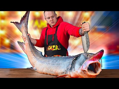 Видео: ПРИГОТОВИЛИ ОГРОМНУЮ БЕЛУГУ ВЕСОМ 50 КИЛОГРАММ