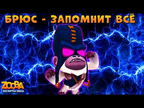 Видео: БРЮС - ЭТИ КОМАНДНЫЕ БОИ ЗАПОМНЯТСЯ НАВСЕГДА В ИГРЕ Zooba: Битва животных