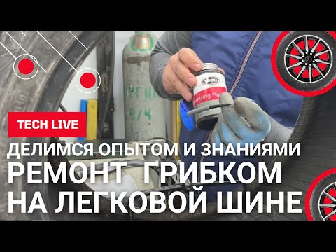 Видео: Грибок в руках у профи. Все секреты. За и против. Как правильно отремонтировать прокол протектора.