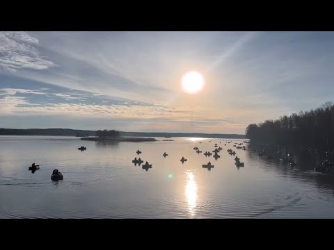 Видео: Рыбалка 🎣 отдых на Чигиринском водохранилище Открытие летнего сезона Фидер Удочка