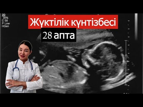 Видео: Жүктілік күнтізбесі  28 апта/ календарь беременности