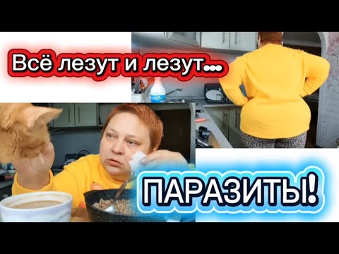 Видео: Как от ЭТОГО избавиться? На завтрак гречка и карбонад 👍Даже кошка оценила!