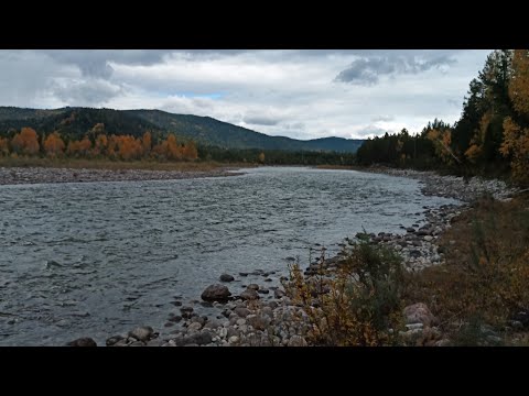 Видео: Китой. Шишка. Рыбалка и "Огненный" плов. День 2