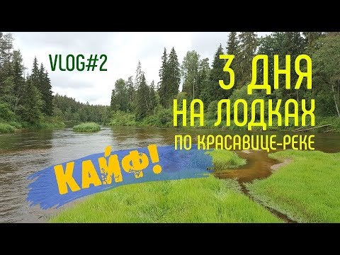 Видео: Рыбалка на дикой речке. Огромный ГОЛАВЛЬ. #ADVENTURESBROTHERS