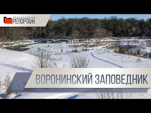 Видео: Специальный репортаж (12.01.23)