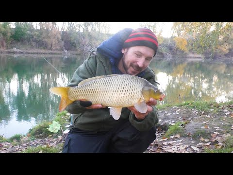 Видео: САЗАН в ноябре.  Река Днестр!