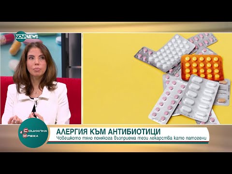 Видео: Алерголог: Около 10 % от приемащите антибиотици развиват медикаментозна алергия - Социална мрежа
