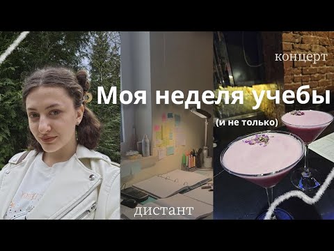 Видео: Моя неделя учебы//study vlog//студенческие будни 📚