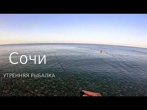 Видео: Утренняя рыбалка на черном море. Сочи