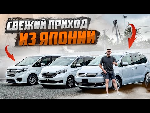 Видео: Цены на авто из Японии в сентябре 2024🚘