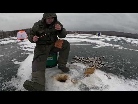 Видео: Оз.Большое. Сартачуль 07.12.24
