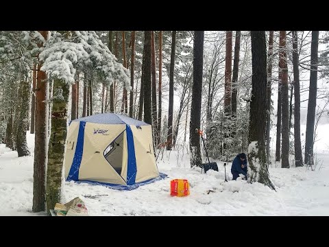 Видео: МЕЧТА СБЫЛАСЬ! МЧИМ В ЛЕС ИЗУЧАТЬ НОВУЮ ПАЛАТКУ. Polar Bird Family T с дровяной печкой.