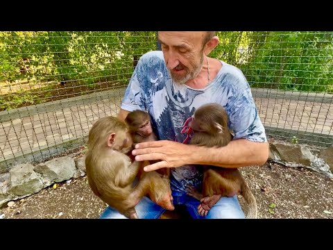 Видео: СВЕРШИЛОСЬ! Влад несет Тосю знакомиться с Маней и Степой, Манечка вся на нервах)))
