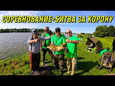 Видео: Рыбалка, устроили соревнование+битва за корону!