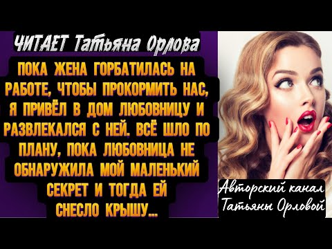 Видео: Татьяна Орлова. Пока жена горбатилась на работе, чтобы прокормить нас, я привёл в дом любовницу и…