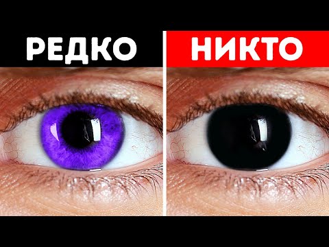 Видео: Почему у людей нет фиолетовых глаз? + другие факты о теле!