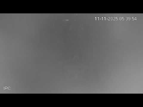 Видео: Пряма трансляція користувача Положення ризи ПБ с. Вибудів